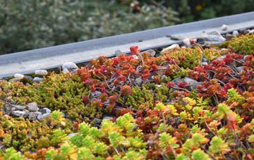 the cost of Alnessferry green roof installation