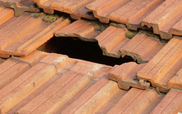 roof repair Alnessferry, Highland