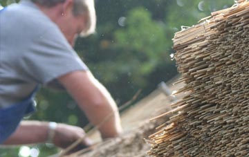 professional Alnessferry thatchers